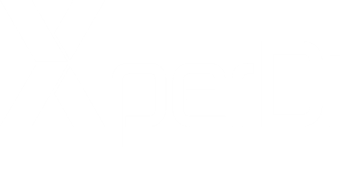 Comany Logo (XperDi)